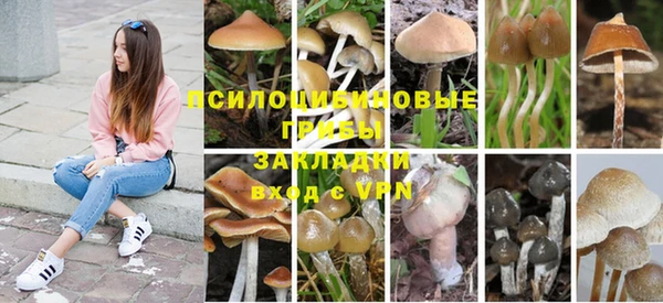винт Алзамай