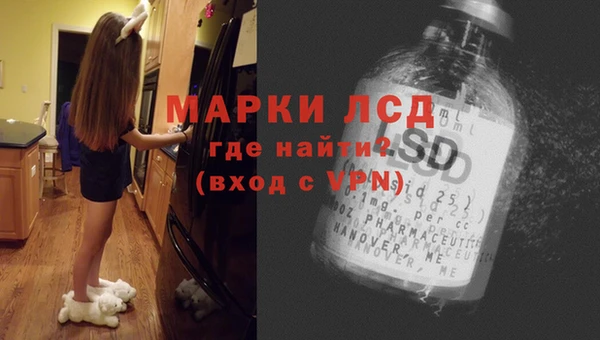 винт Алзамай