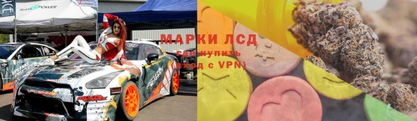 винт Алзамай